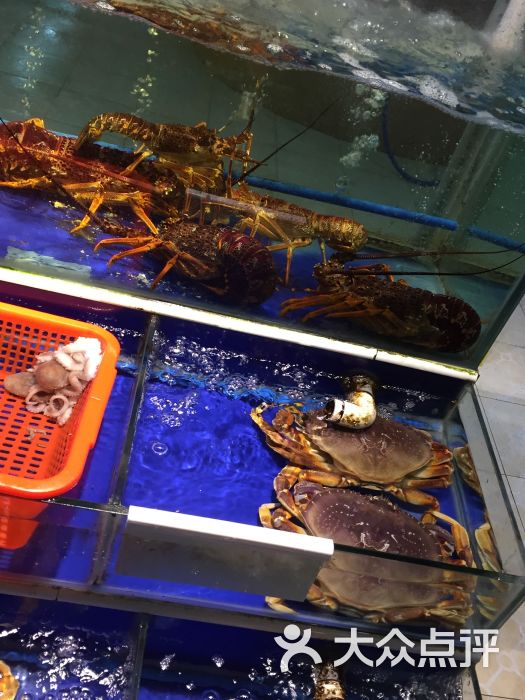 青年公社海鲜城图片 - 第3张