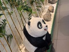 -麻辣空间·清油火锅(万达广场店)
