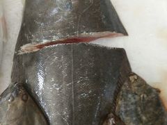 -宏源鑫海鲜餐厅·海景婚宴厅(石老人店)