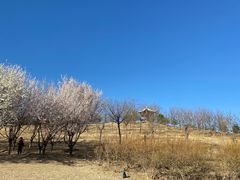 -马家湾湿地公园