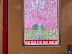 -莫尔道嘎国家森林公园