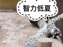 -青藏高原野生动物园