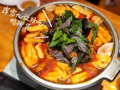 -肥螺庄·螺蛳鸭脚煲