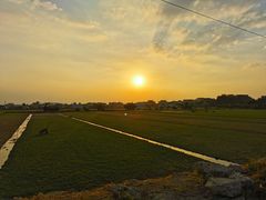 -低涌(地铁站)