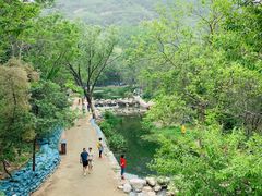 -白水寺森林公园