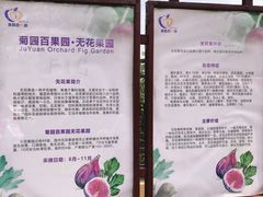 -菊园百果园