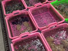 -众味海鲜大排档·活海鲜·潮汕味(南澳店)