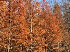 -南京市无想山景区