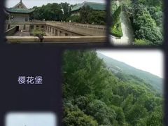 -武汉大学-樱园