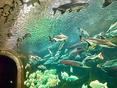 -波塞冬海底世界