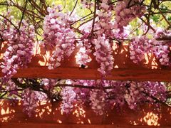 -徐家汇源景区-衡山公园