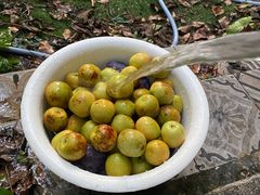 -相十三·别墅轰趴团建户外(同和店)