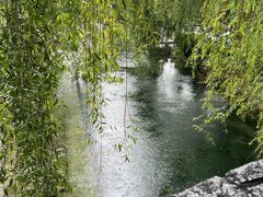 -德庆林厨房