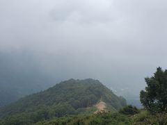 -空中草原