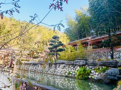 -宁波浙东大竹海景区