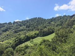 -敬亭山风景名胜区