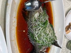 -大东海海鲜酒楼(渔人码头总店)