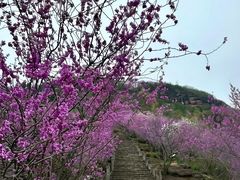 -天台山赤城山景区