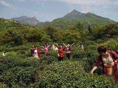 -祁门牯牛降观音堂风景区