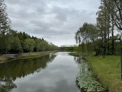 -黄海国家森林公园