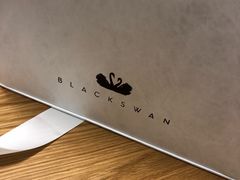 -BLACKSWAN黑天鹅(环球店)
