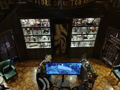 -雪灵魔法世界SHELLY’S TAROT(大良桂畔里店)