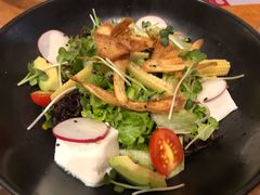 一風堂沙拉-一風堂拉面(港汇恒隆店)