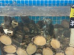 -聚德福海鲜家常菜(刘庄店)