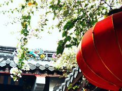 -深圳国际园林花卉博览园