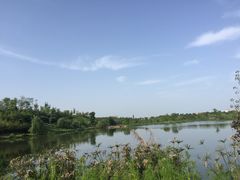 -白鹭湾湿地公园