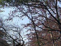 -阿哈湖国家湿地公园