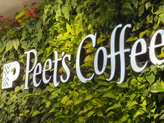 -Peet's Coffee皮爷咖啡(大学路店)