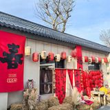 📌梧桐树下的咖啡☕｜不光香还超级浪漫