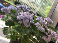 -咖星人E·T coffee·云赛空间