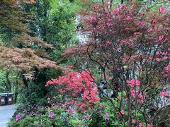 -岳麓山风景名胜区