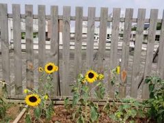 -BetterKids贝好国际托育中心(奥体旗舰店)