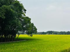 -嘉北郊野公园