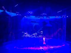 -芜湖新华联大白鲸海洋公园