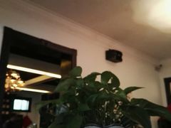-大可堂普洱茶馆(襄阳南路馆)