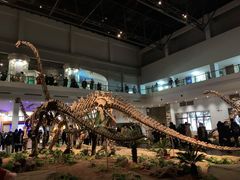 -自贡恐龙博物馆
