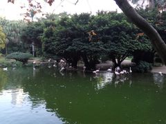 -九龙公园