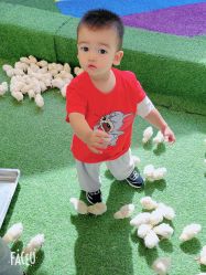 -萌宠亲子动物乐园(槐房万达店)