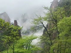 -黄山风景区