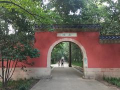 -灵谷景区