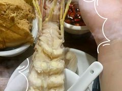 -凯华海鲜火锅·传承三十六年