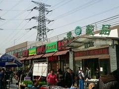 -中环花鸟鱼虫市场