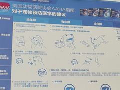 -心仪动物医院·牙专科·肿瘤·心脏科(西客站院)