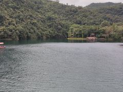 -鼎湖山风景区