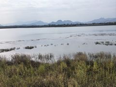 -青龙湖公园