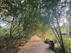 -洛阳市隋唐城遗址植物园
